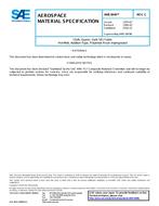 SAE AMS3849C SAE AMS3849C