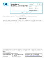 SAE AMS3890B SAE AMS3890B