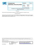 SAE AMS3895C SAE AMS3895C