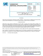 SAE AMS7728J SAE AMS7728J