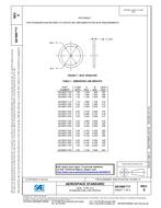 SAE AS1895/7E SAE AS1895/7E