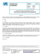 SAE AS29600B SAE AS29600B