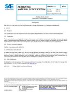 SAE AMS2451/3C SAE AMS2451/3C
