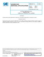 SAE AMS3731/10C SAE AMS3731/10C