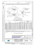 SAE AS14101E SAE AS14101E