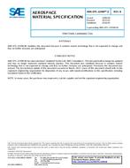 SAE AMSDTL22499/3B SAE AMSDTL22499/3B