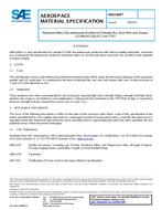 SAE AMS4369 SAE AMS4369