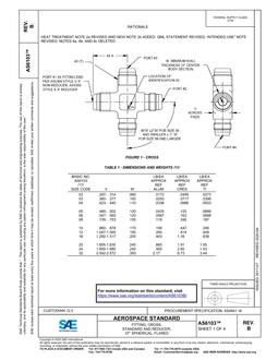 SAE AS6103B SAE AS6103B