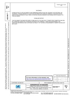 SAE AS31461B SAE AS31461B